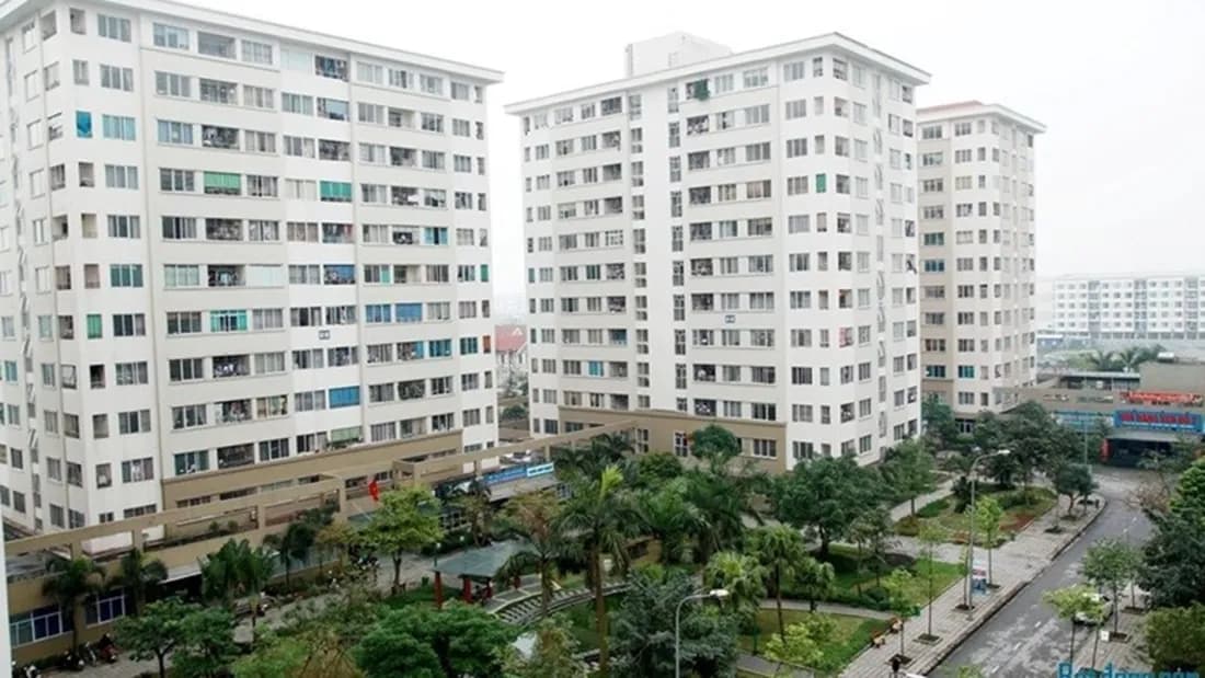 Blurred backdrop fills