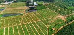 Farmstay G7 Bình Châu — Xuyên Mộc, Bà Rịa - Vũng Tàu — Ảnh 1
