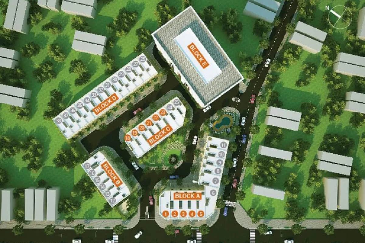 Lucky dragon — Quận 9, Thành phố Hồ Chí Minh — ảnh 12