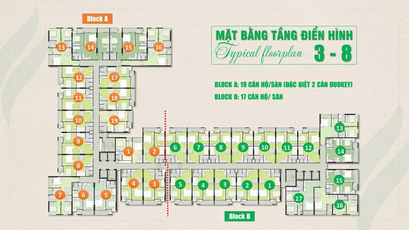 Ricca — Quận 9, Thành phố Hồ Chí Minh — ảnh 12