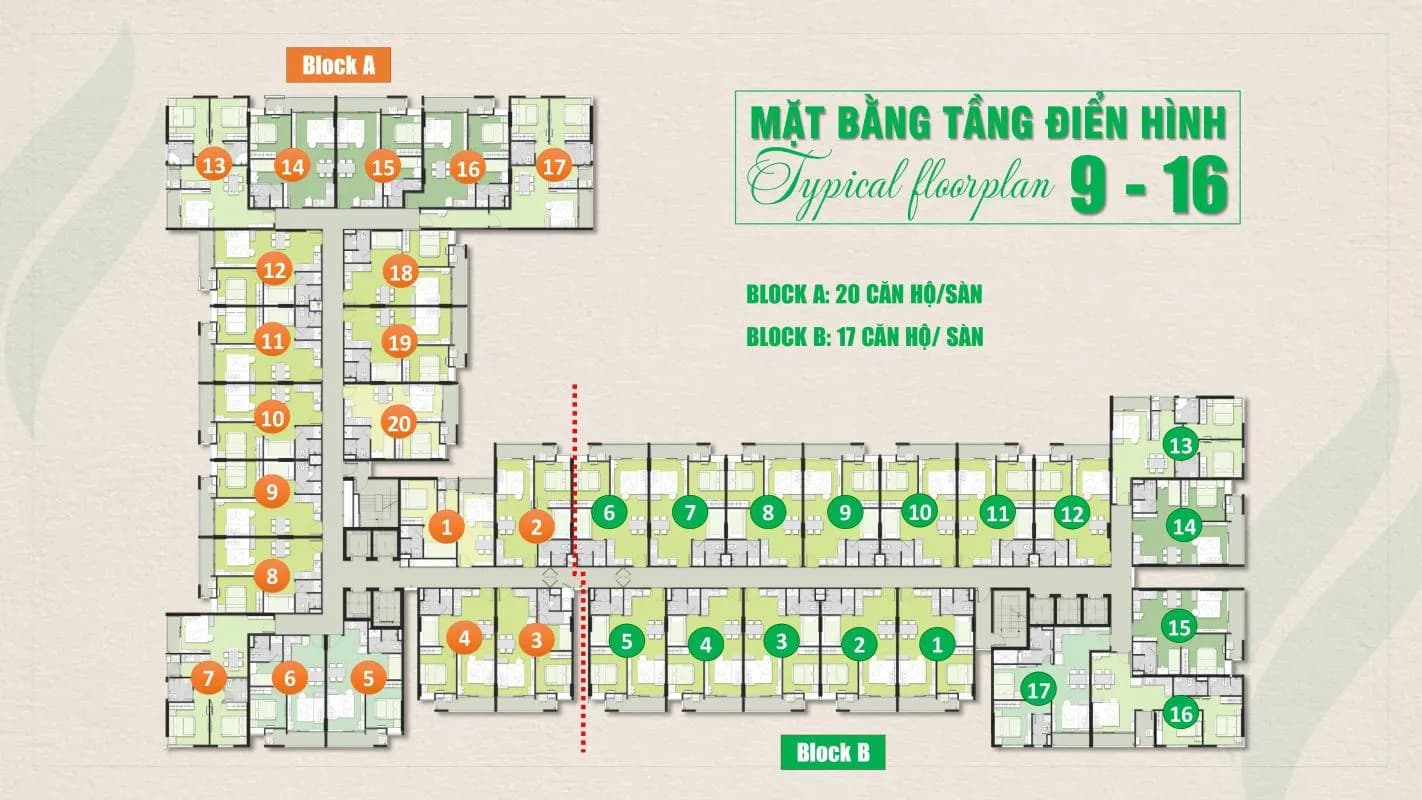 Ricca — Quận 9, Thành phố Hồ Chí Minh — ảnh 13