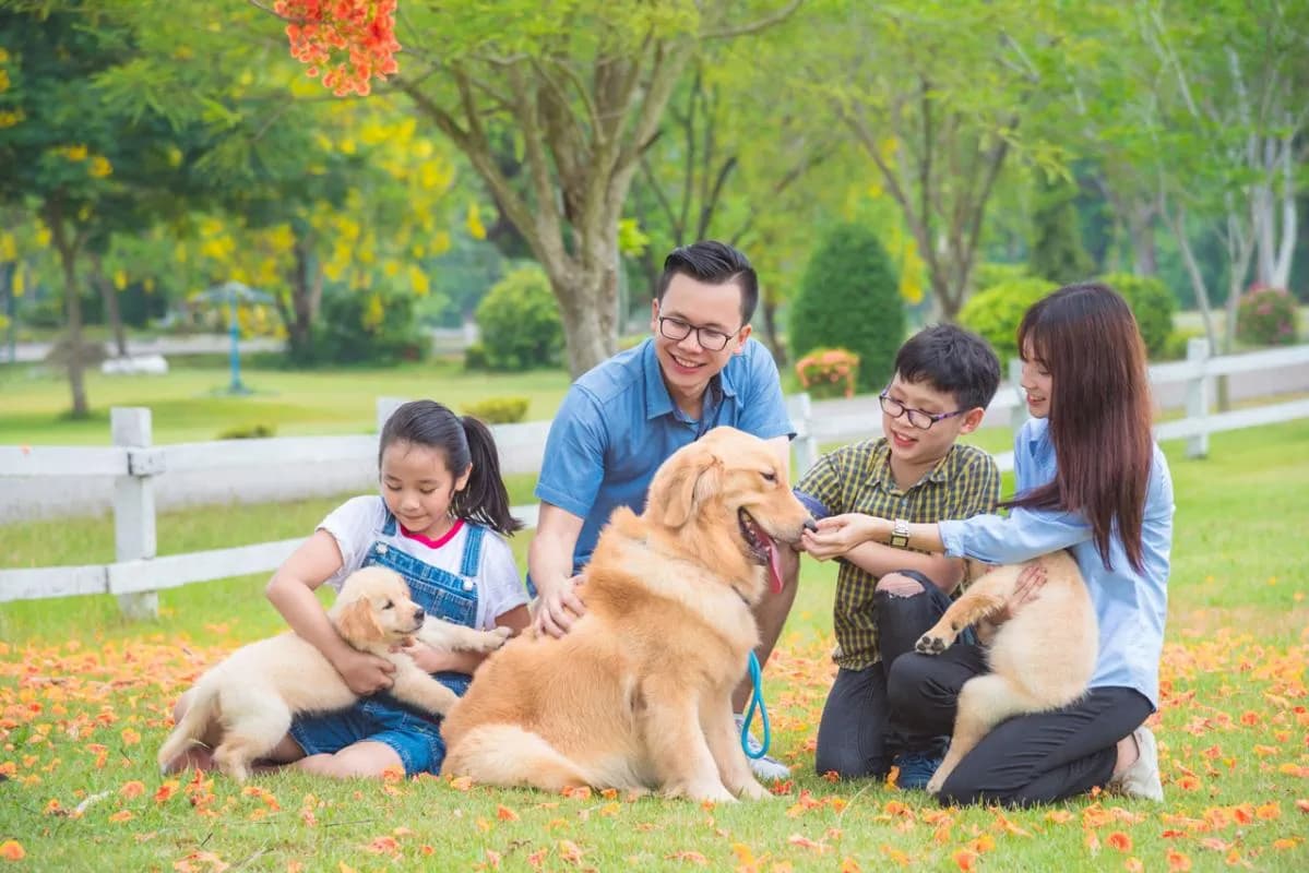 Celesta Heights — Nhà Bè, Thành phố Hồ Chí Minh — ảnh 14