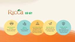 Ricca — Quận 9, Thành phố Hồ Chí Minh — Ảnh 15