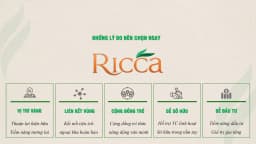 Ricca — Quận 9, Thành phố Hồ Chí Minh — Ảnh 16