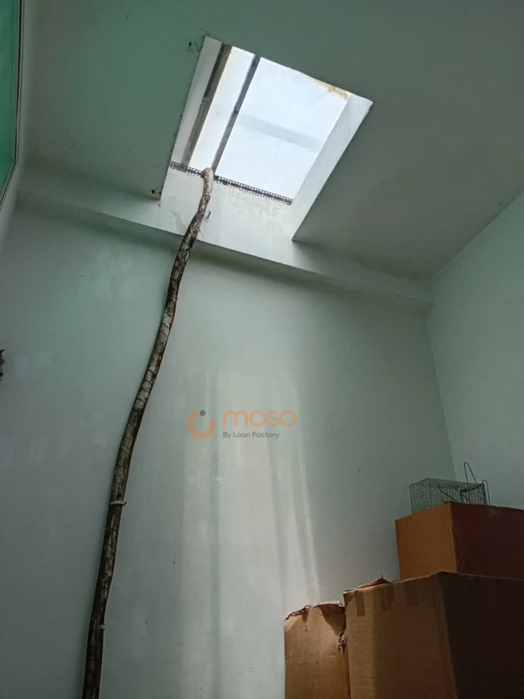 Preview Image 2