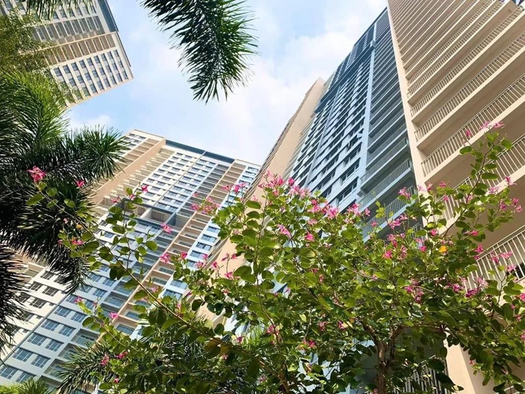 Palm Heights — Quận 2, Thành phố Hồ Chí Minh — ảnh 2