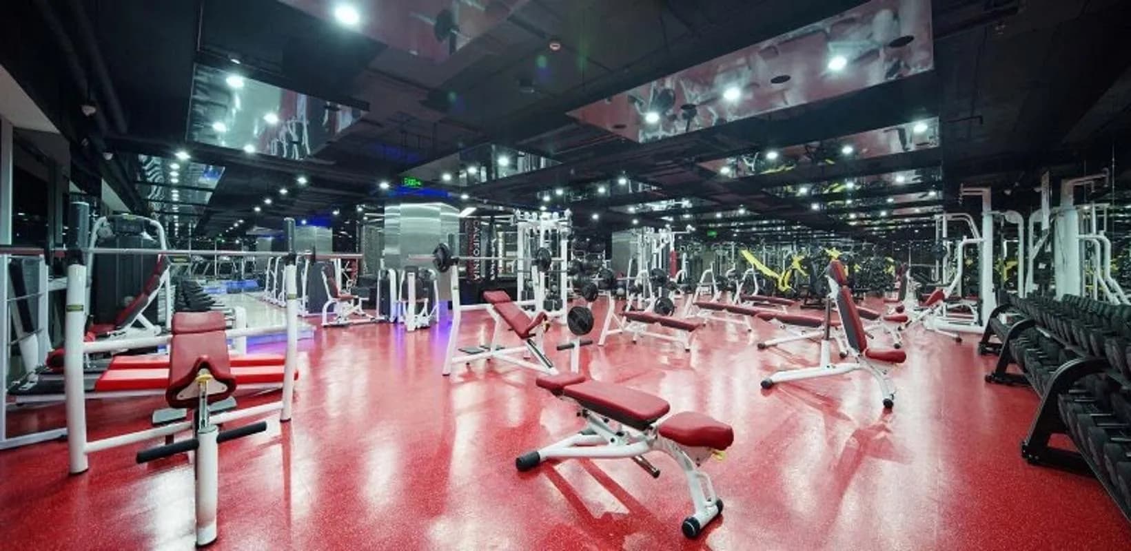 Dragon Riverside City — Quận 5, Thành phố Hồ Chí Minh — ảnh 4