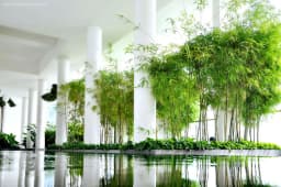 The Vista An Phú — Quận 2, Thành phố Hồ Chí Minh — Ảnh 4