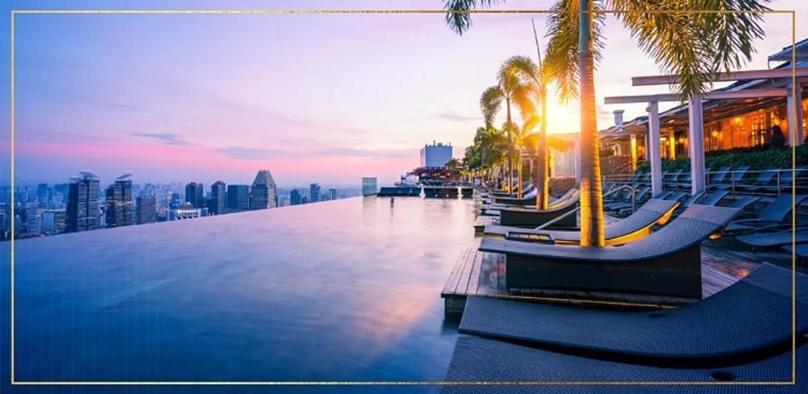 CHARMINGTON DRAGONIC — Quận 5, Thành phố Hồ Chí Minh — ảnh 5