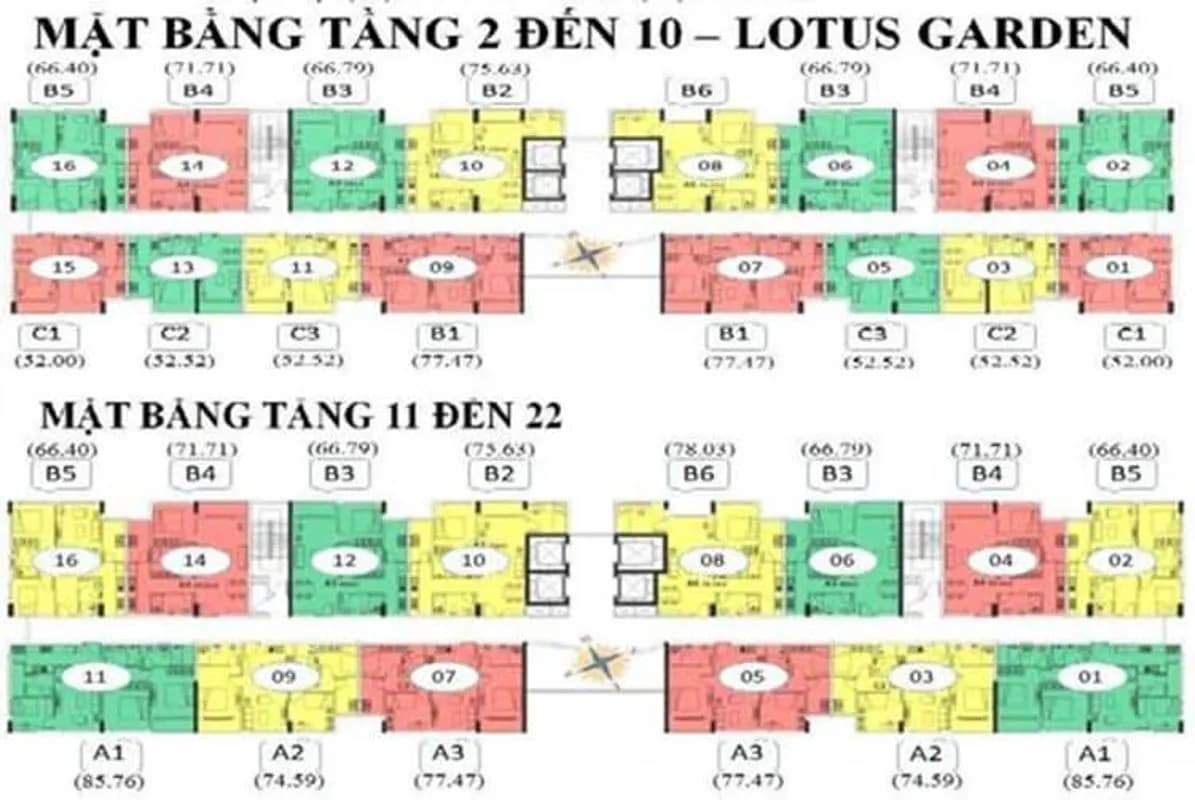 Lotus Garden — Tân Phú, Thành phố Hồ Chí Minh — ảnh 7