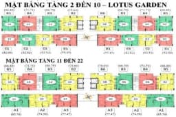Lotus Garden — Tân Phú, Thành phố Hồ Chí Minh — Ảnh 7