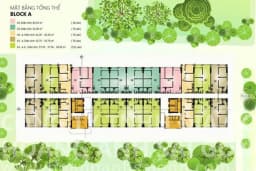 IDICO Tân Phú — Tân Phú, Thành phố Hồ Chí Minh — Ảnh 7