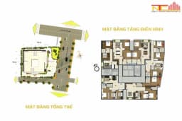 La Bonita — Bình Thạnh, Thành phố Hồ Chí Minh — Ảnh 9