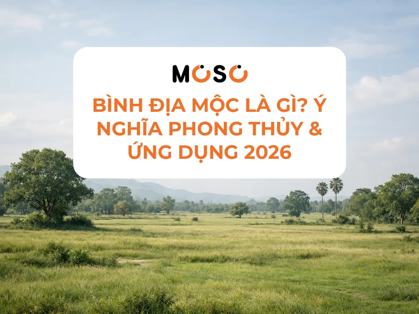 Bình Địa Mộc là gì? Ý nghĩa phong thủy & ứng dụng 2026