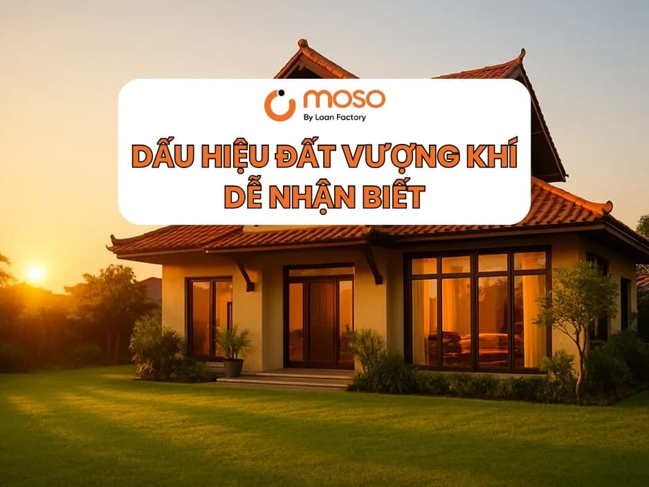 Dấu Hiệu Đất Vượng Khí: Bí Quyết Giúp Gia Chủ Chọn Được Đất Tốt Để An Cư Lạc Nghiệp năm 2025