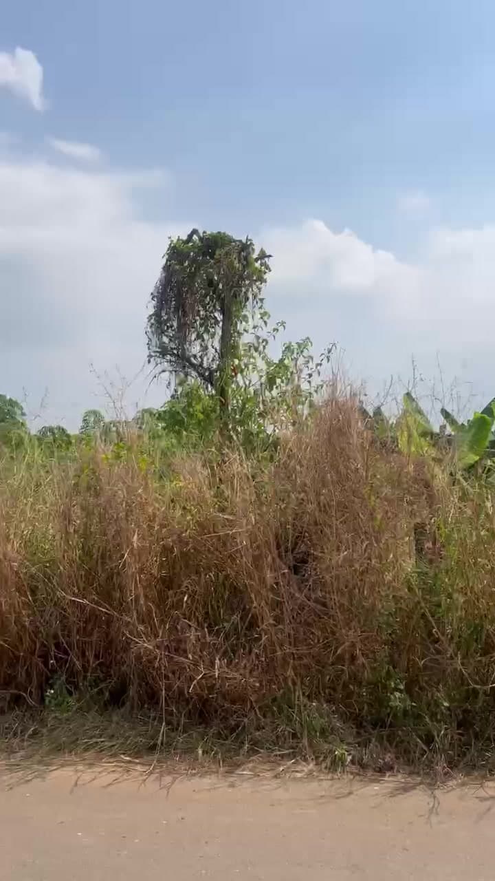 213 hưng bình 1, Xã Hưng Thịnh, H.Trảng Bom, Tỉnh Đồng Nai
