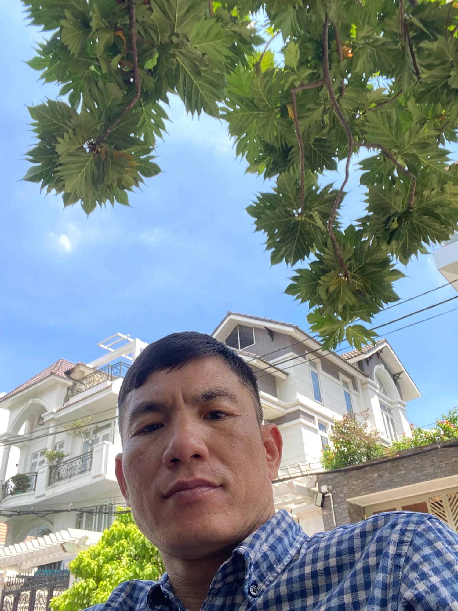 Tự Anh
