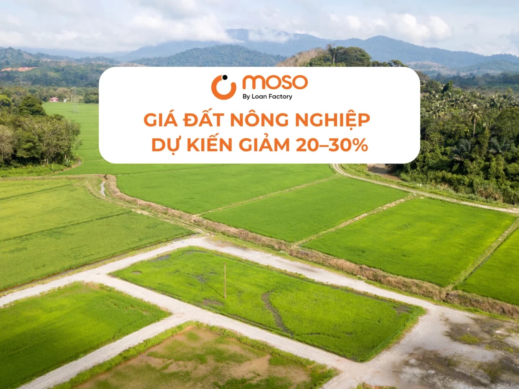 Giá đất nông nghiệp dự kiến giảm 20–30%: Cơ hội mới cho người mua