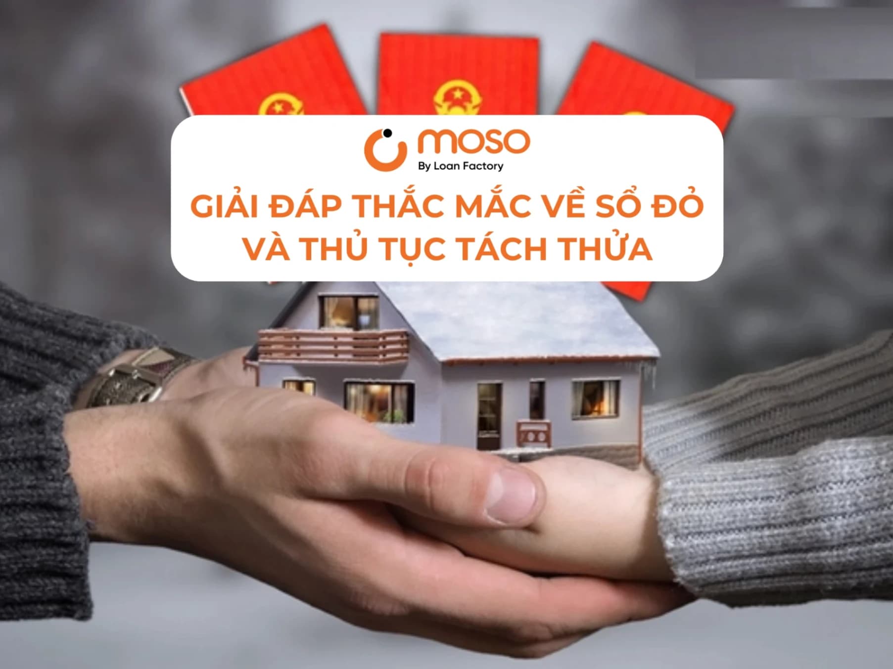 Giải Đáp Thắc Mắc Về Sổ Đỏ: Đất Lấn Chiếm, Khai Hoang Và Thủ Tục Tách Thửa
