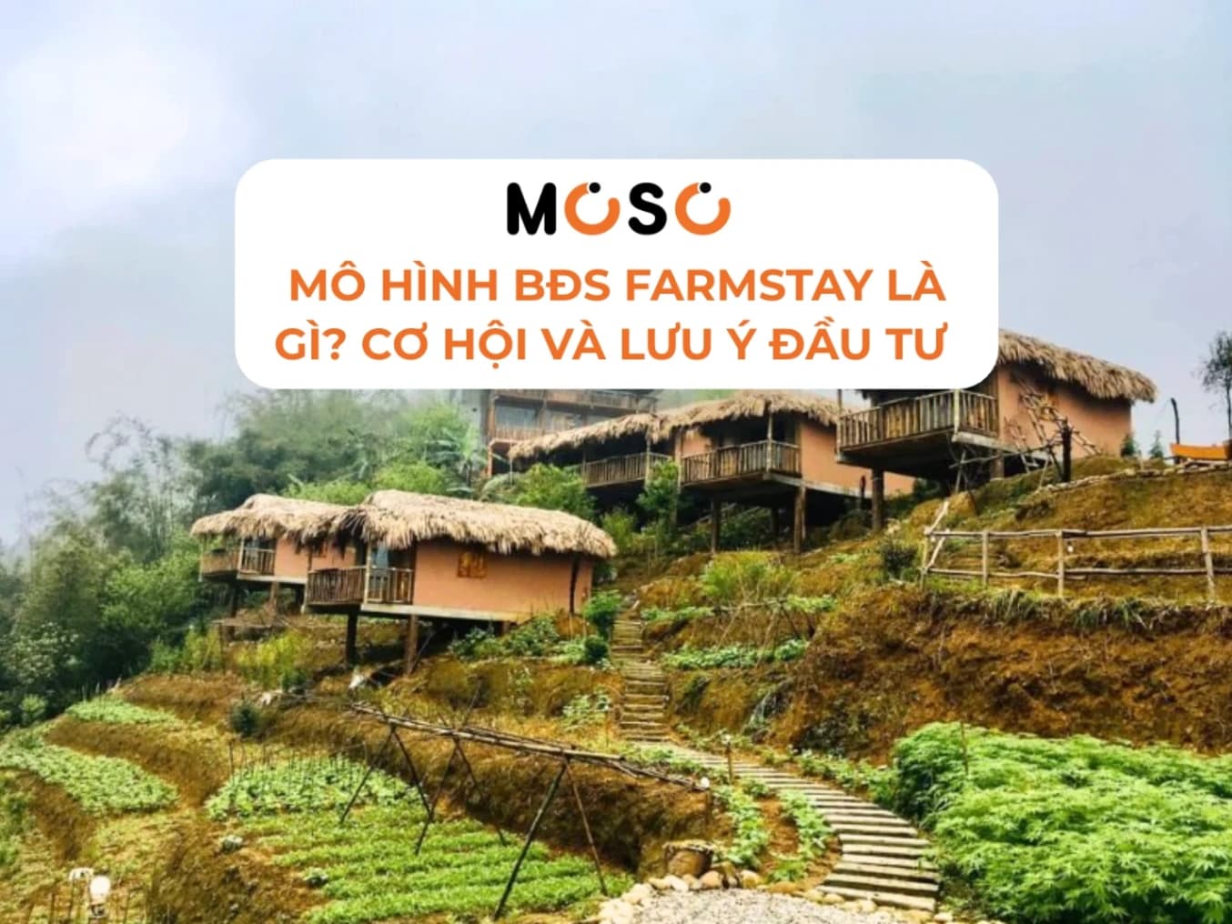 Mô Hình BĐS Farmstay Là Gì? Cơ Hội Và Lưu Ý Đầu Tư Farmstay