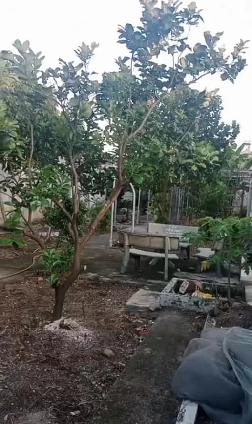 Chính chủ cần bán lô đất thổ cư diện tích 200m2, nằm trên đường Bùi Công Trừng, xã Đông Thạnh, huyện Hóc Môn.