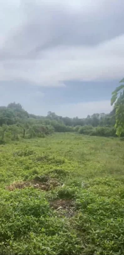 Chính chủ bán đất rộng 757,1 m² tại đường Trần Thị Rộng, huyện Củ Chi, xã Nhuận Đức.