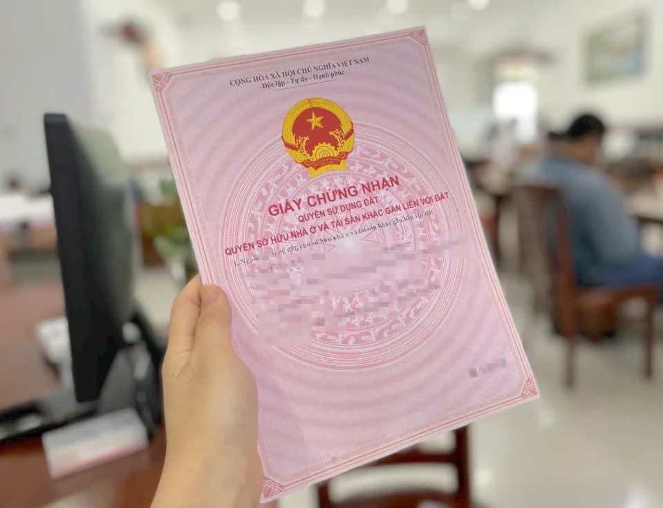 Hải Nam Lê Hải Nam Lê