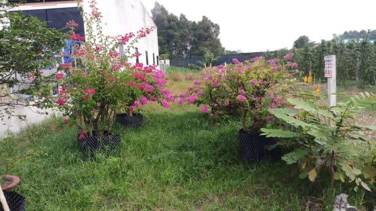 Chính chủ cần bán lô đất thổ cư diện tích 330m2, nằm trên đường Số 16, xã Tân Thông Hội, huyện Củ Chi.