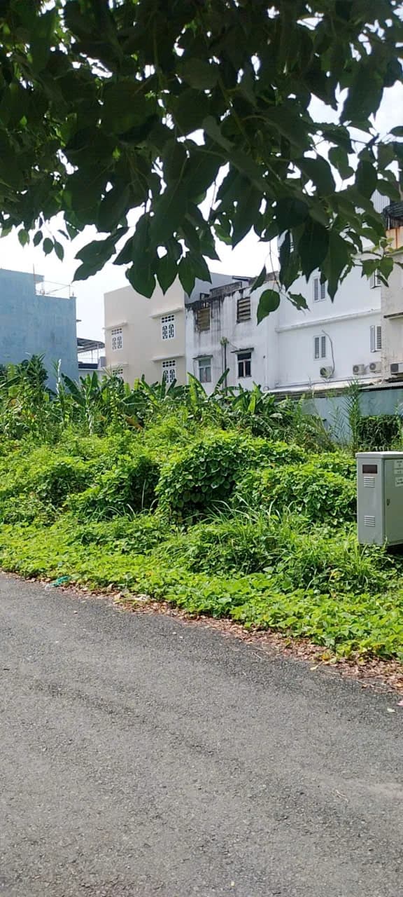 Bán - Đất thổ cư số 8, Xã Bình Chánh, Thành phố Hồ Chí Minh