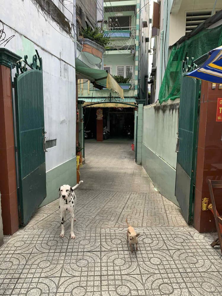 Bán - Nhà mặt tiền 171/1, Phạm Văn Chí, Phường Bình Tiên, Thành phố Hồ Chí Minh