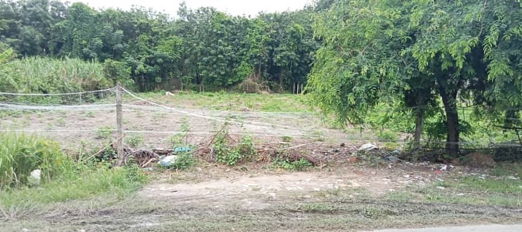 Bán - Đất thổ cư thửa số 23, tờ bản đồ số 45 -  Đường Số 490, Xã Nhuận Đức, Thành phố Hồ Chí Minh