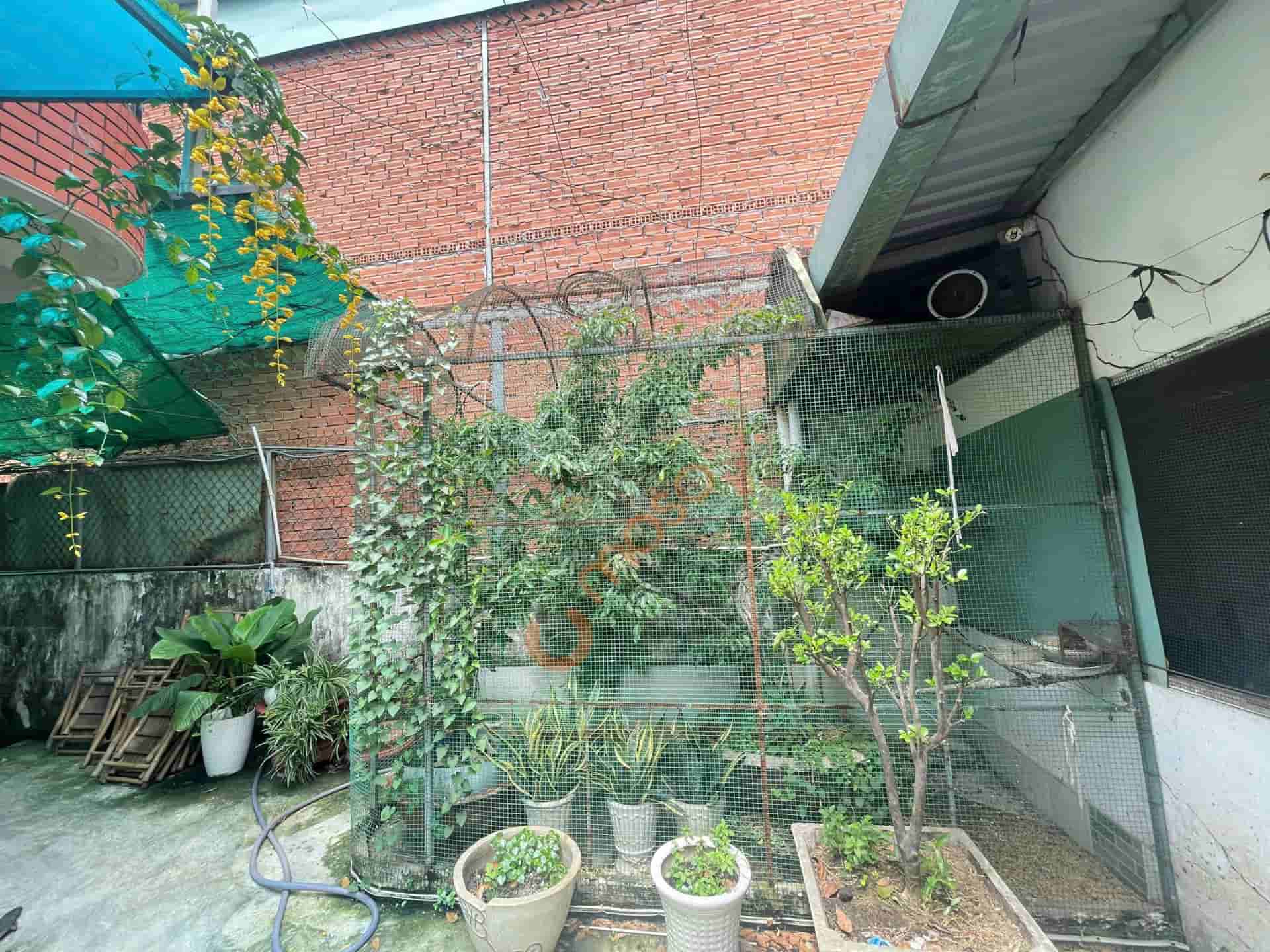 Image Image