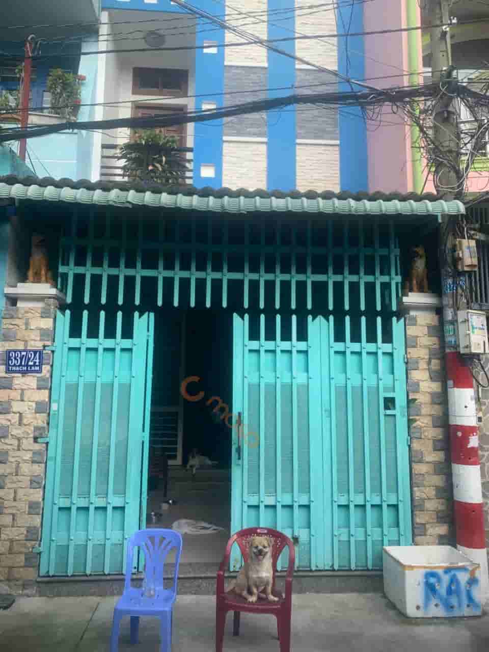 Image Image