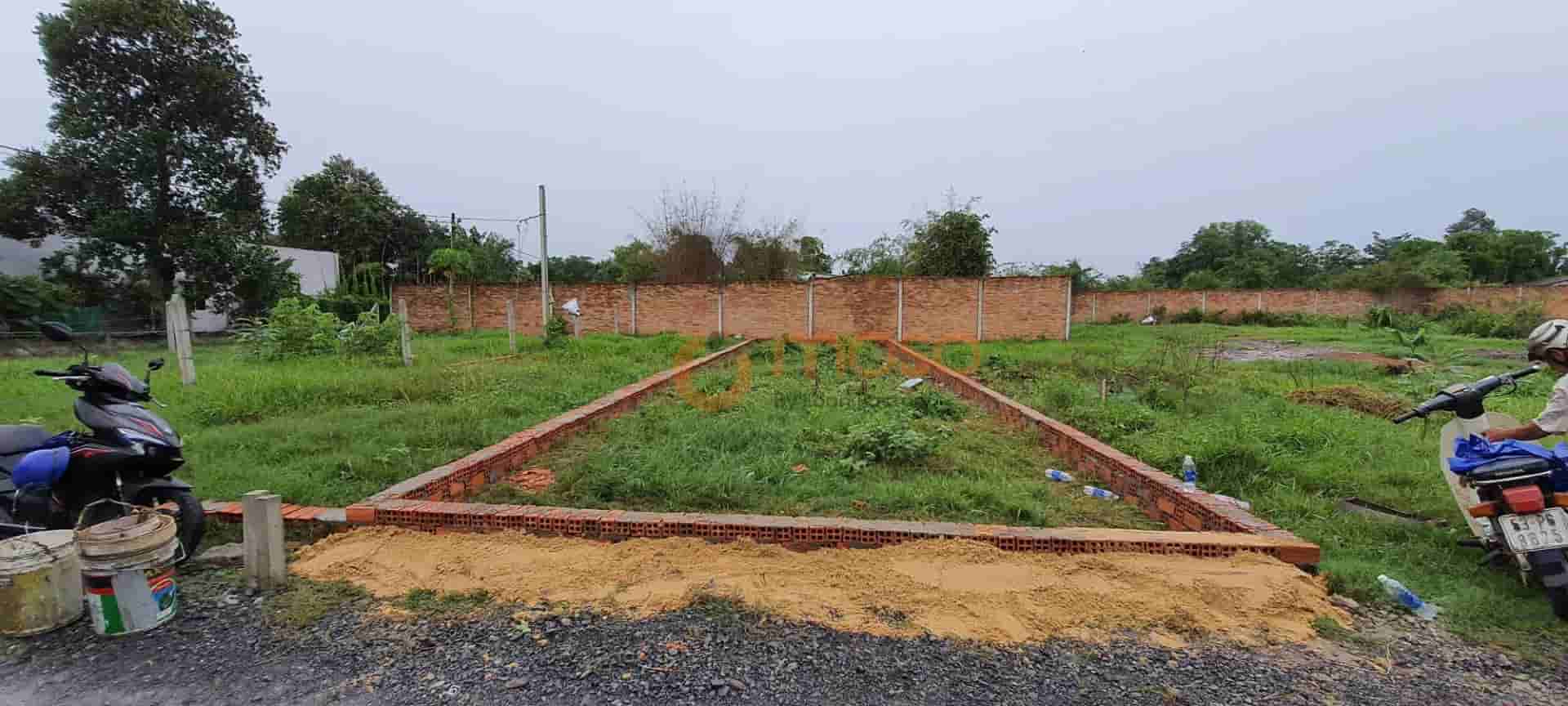 Image Image