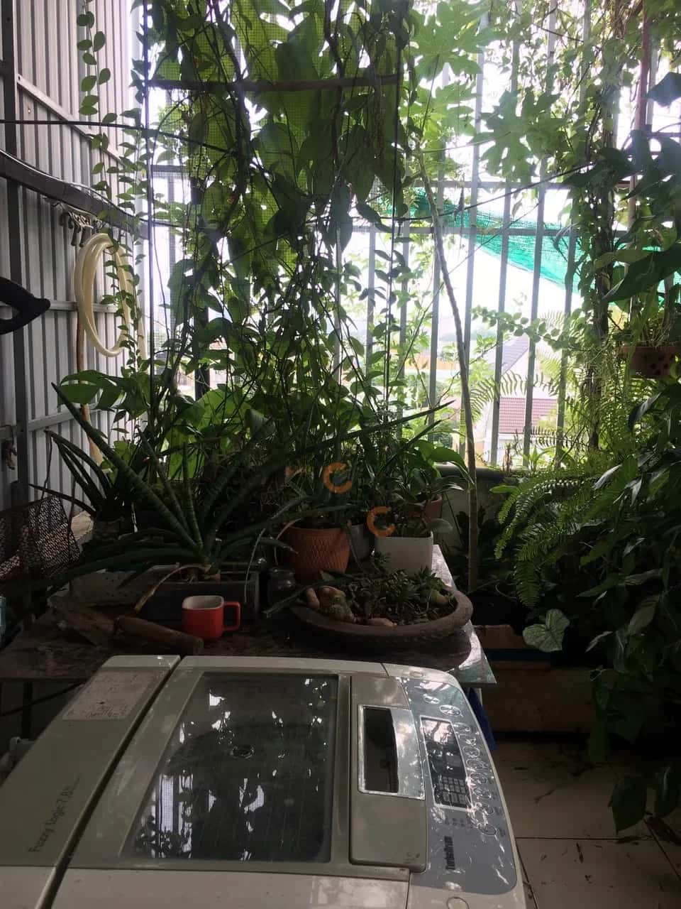 Hình ảnh nhà 2 Hình ảnh nhà 2