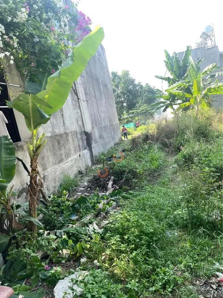 Hình ảnh nhà 2 Hình ảnh nhà 2