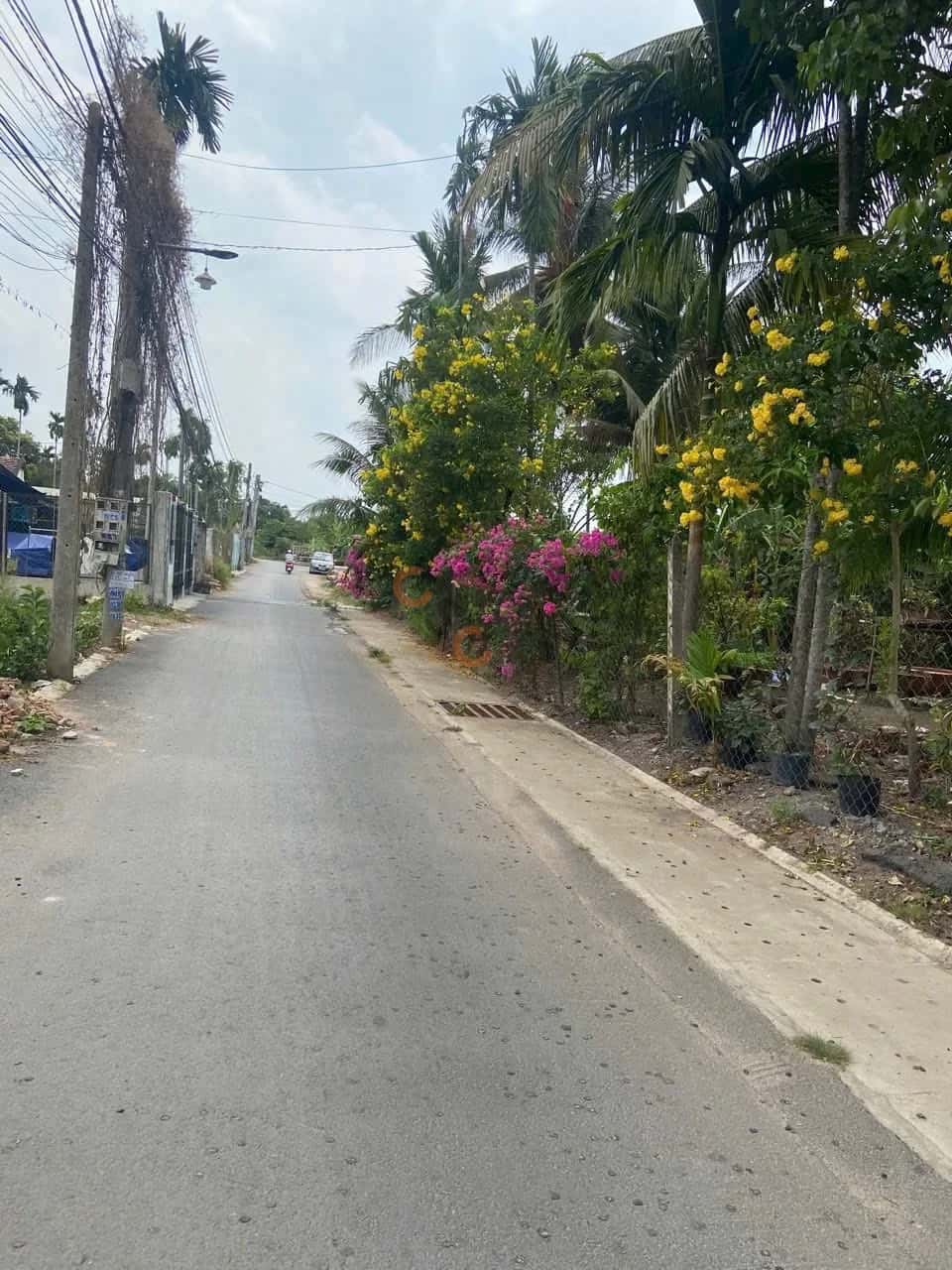 Hình ảnh nhà 2 Hình ảnh nhà 2