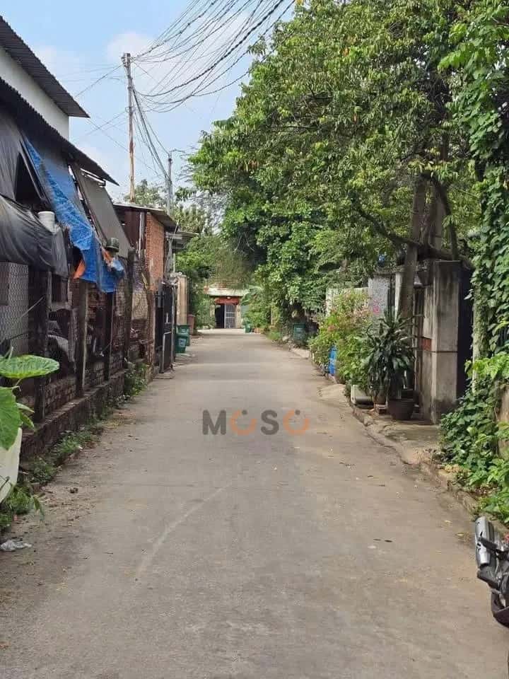 Hình ảnh nhà 2 Hình ảnh nhà 2