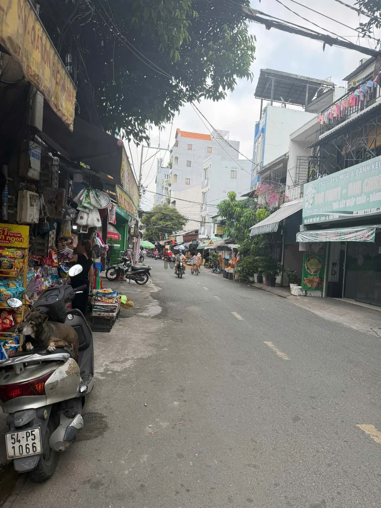 Bán nhà mặt tiền 44 Bùi Thế Mỹ Quận Tân Bình, TP.HCM – 2 phòng ngủ, giá 9.9 tỷ — Hình 2 Bán nhà mặt tiền 44 Bùi Thế Mỹ Quận Tân Bình, TP.HCM – 2 phòng ngủ, giá 9.9 tỷ — Hình 2