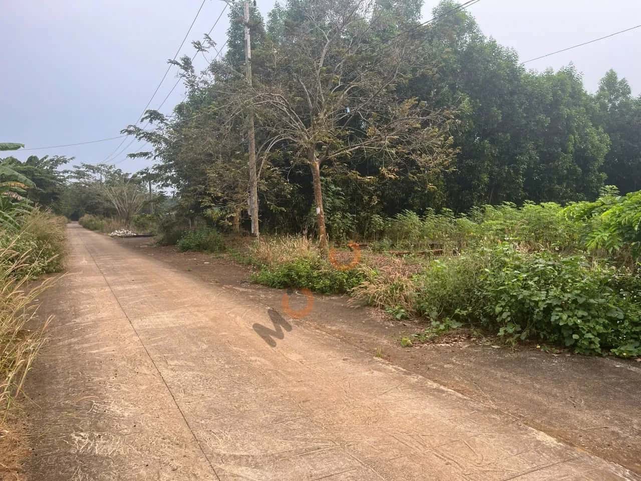 Bán đất Thửa 276 - Tờ 24, Khu phố Tràng Lớn Thành phố Phú Mỹ, BRVT – giá 1.7 tỷ — Hình 3 Bán đất Thửa 276 - Tờ 24, Khu phố Tràng Lớn Thành phố Phú Mỹ, BRVT – giá 1.7 tỷ — Hình 3