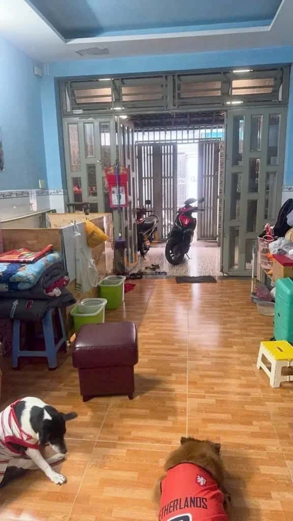 Hình ảnh nhà 2 Hình ảnh nhà 2
