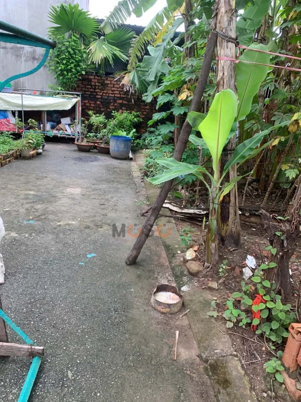 Hình ảnh nhà 3 Hình ảnh nhà 3
