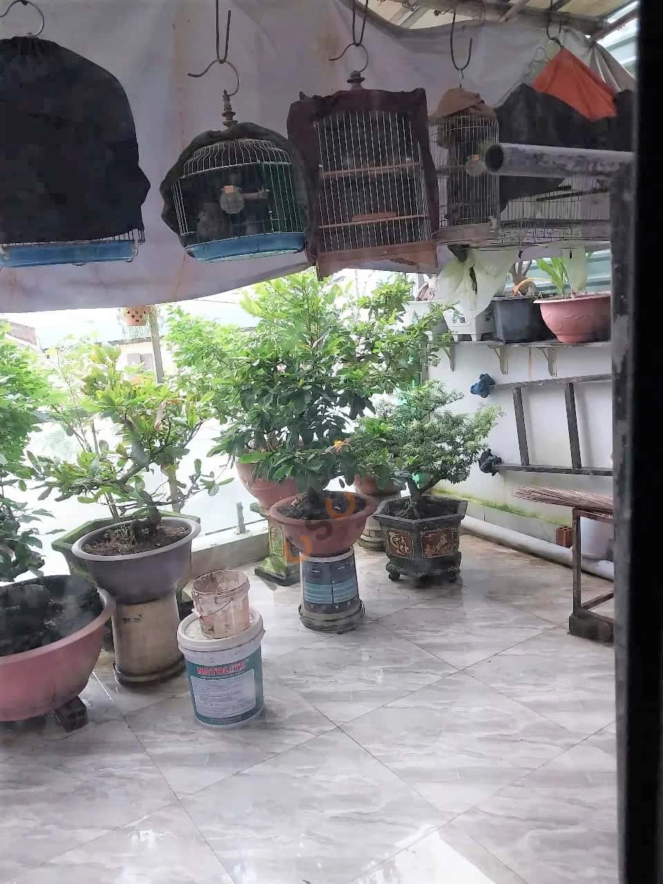 Hình ảnh nhà 3 Hình ảnh nhà 3
