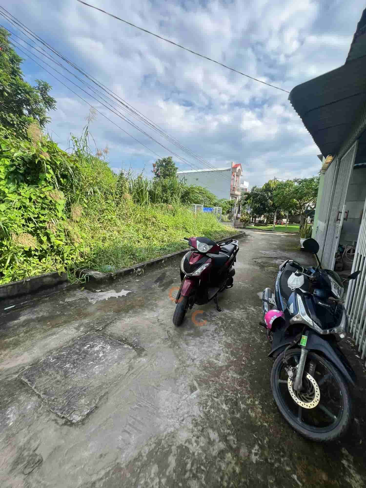 Image Image