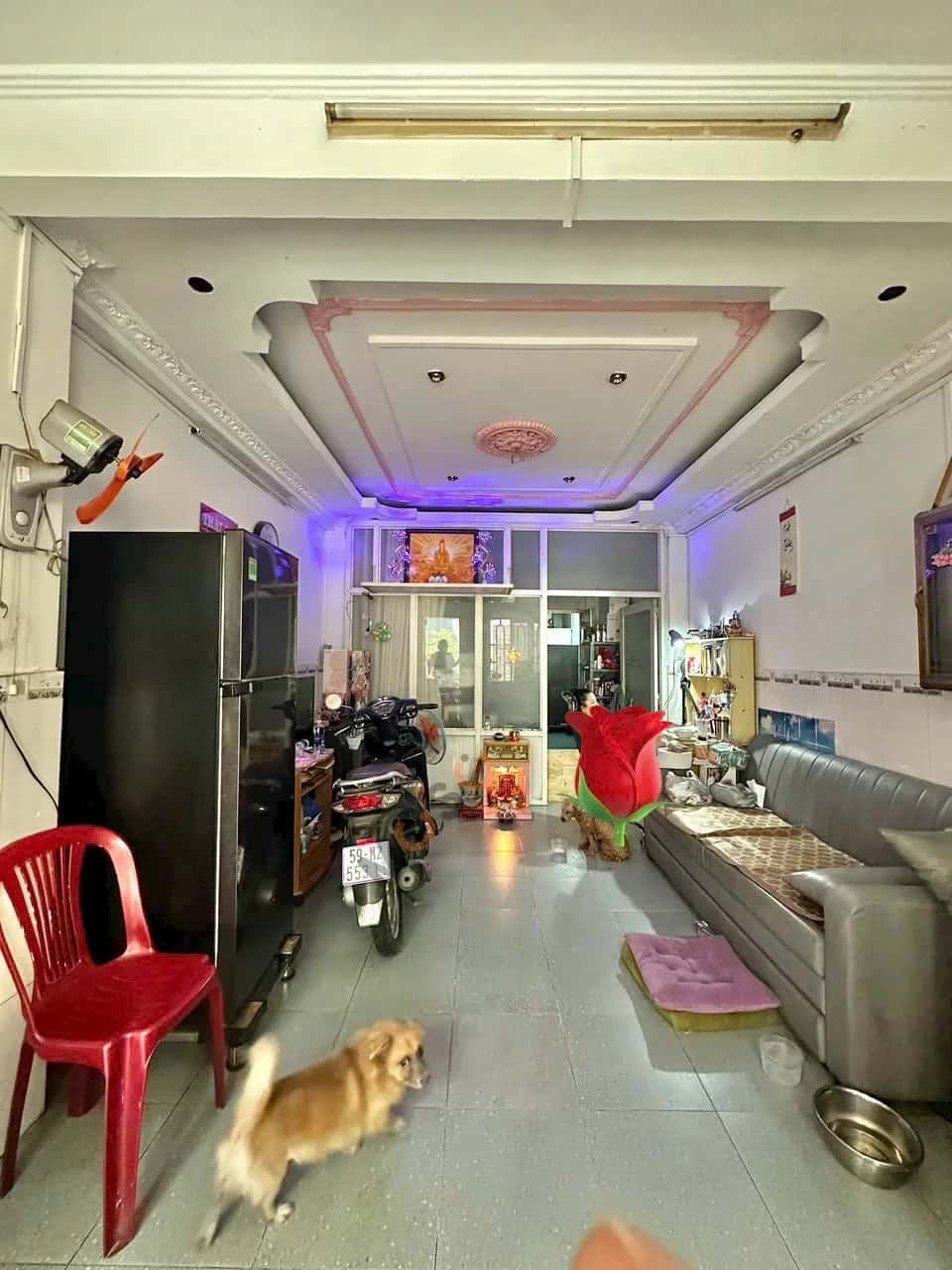 Hình ảnh nhà 2 Hình ảnh nhà 2