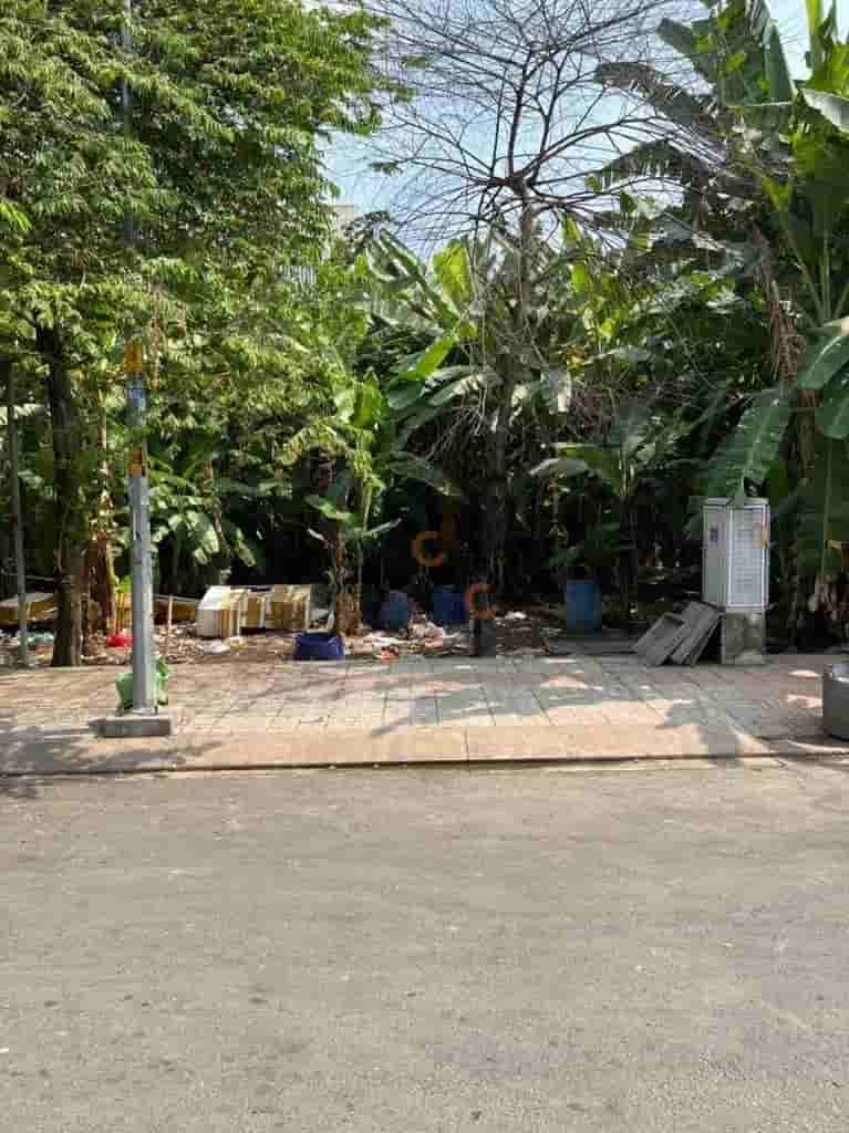 Image Image