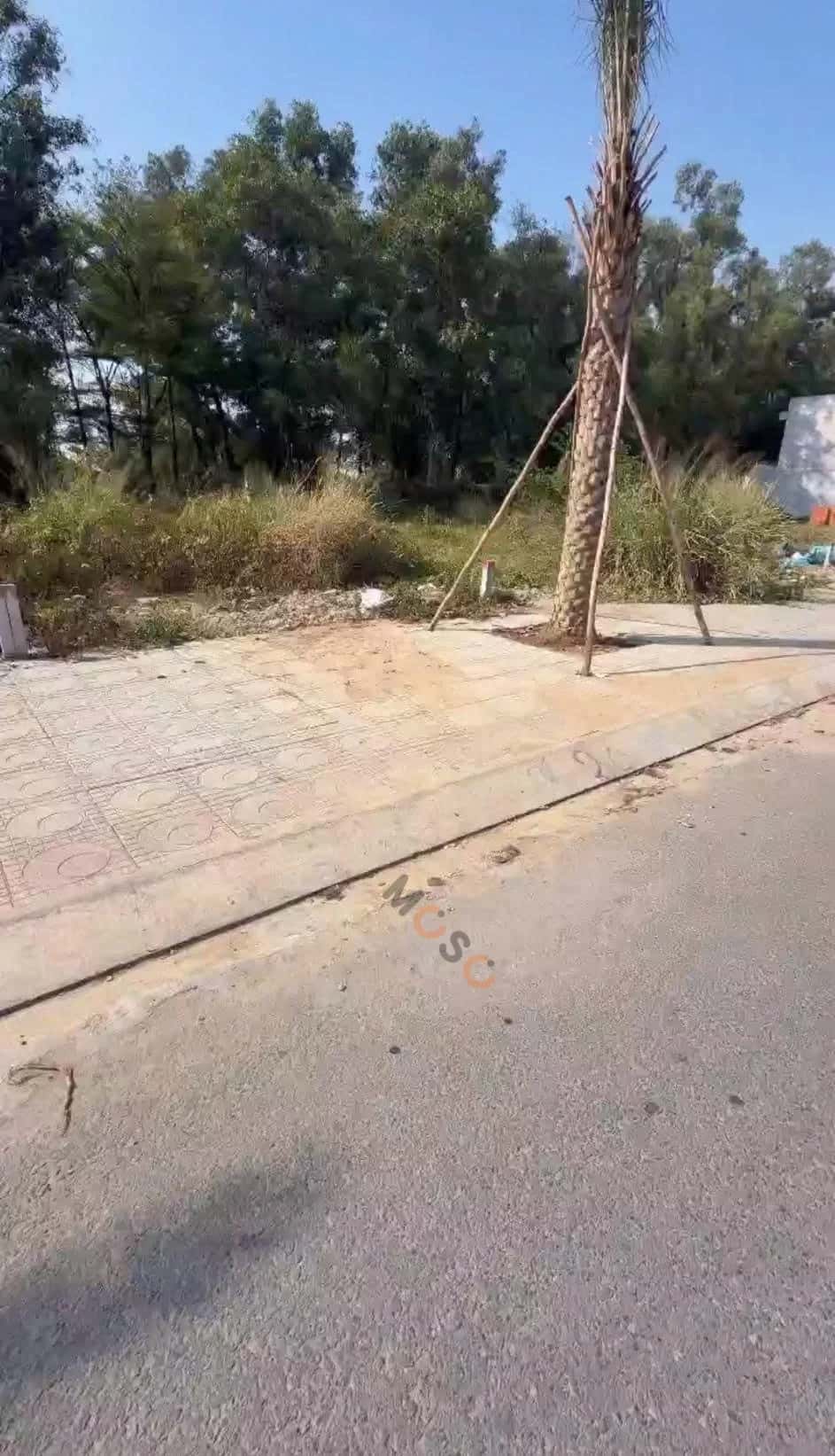 Bán đất Thửa 811 - tờ 9 Đường Nguyễn Văn Tiết, khu Tái Định Cư Đông Tư Thành phố Thuận An, Bình Dương – giá 5.3 tỷ — Hình 2 Bán đất Thửa 811 - tờ 9 Đường Nguyễn Văn Tiết, khu Tái Định Cư Đông Tư Thành phố Thuận An, Bình Dương – giá 5.3 tỷ — Hình 2
