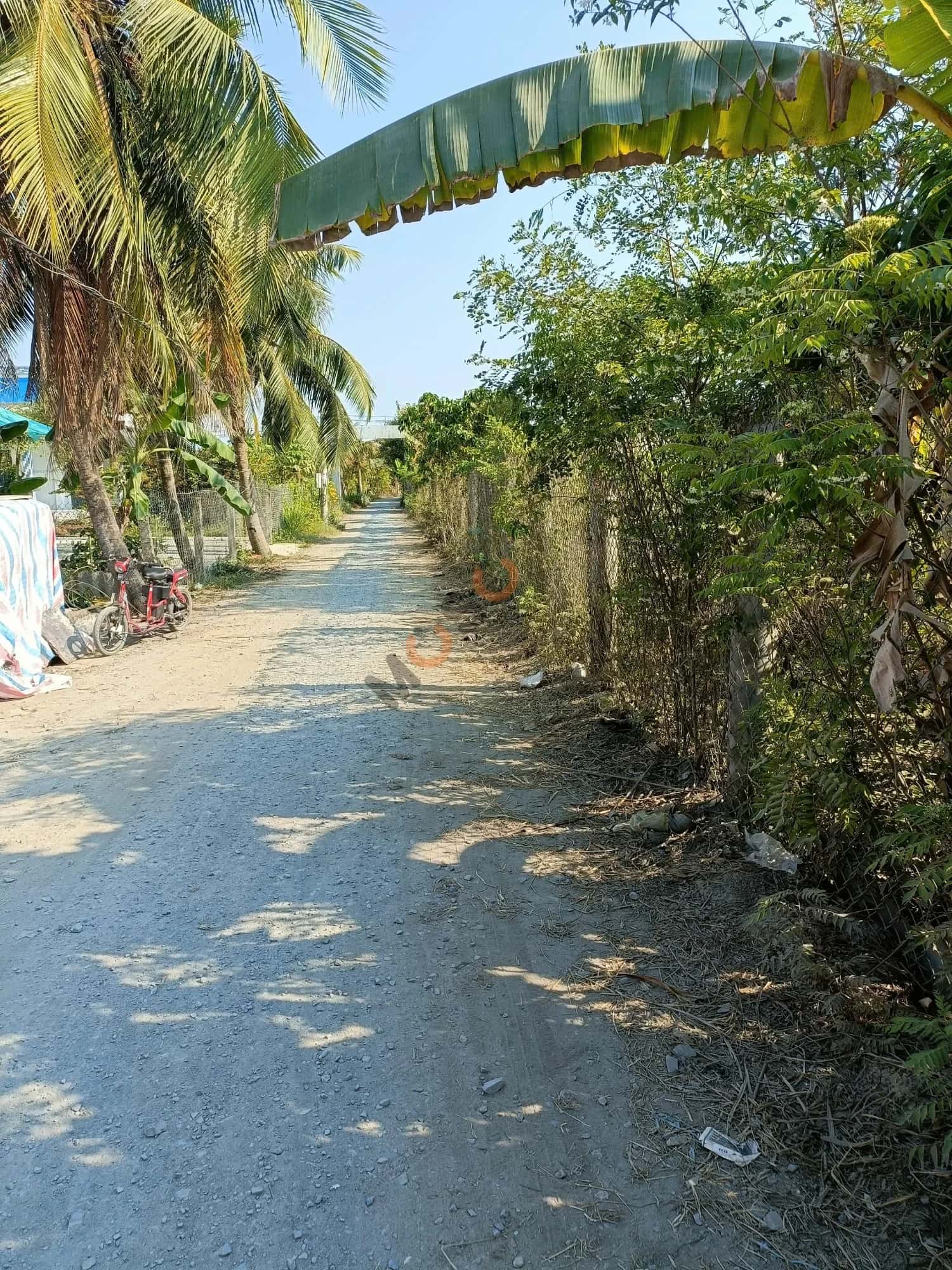 Bán đất Thửa 1098 - Tờ 6 ấp Bình Lạc Huyện Gò Công Tây, Tiền Giang – giá 500 triệu — Hình 3 Bán đất Thửa 1098 - Tờ 6 ấp Bình Lạc Huyện Gò Công Tây, Tiền Giang – giá 500 triệu — Hình 3