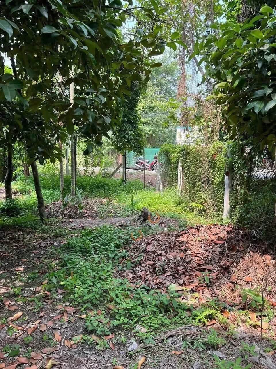 Bán đất Thửa 1218 - tờ 9 Đường An Sơn 01 Thành phố Thuận An, Bình Dương – giá 4 tỷ Bán đất Thửa 1218 - tờ 9 Đường An Sơn 01 Thành phố Thuận An, Bình Dương – giá 4 tỷ