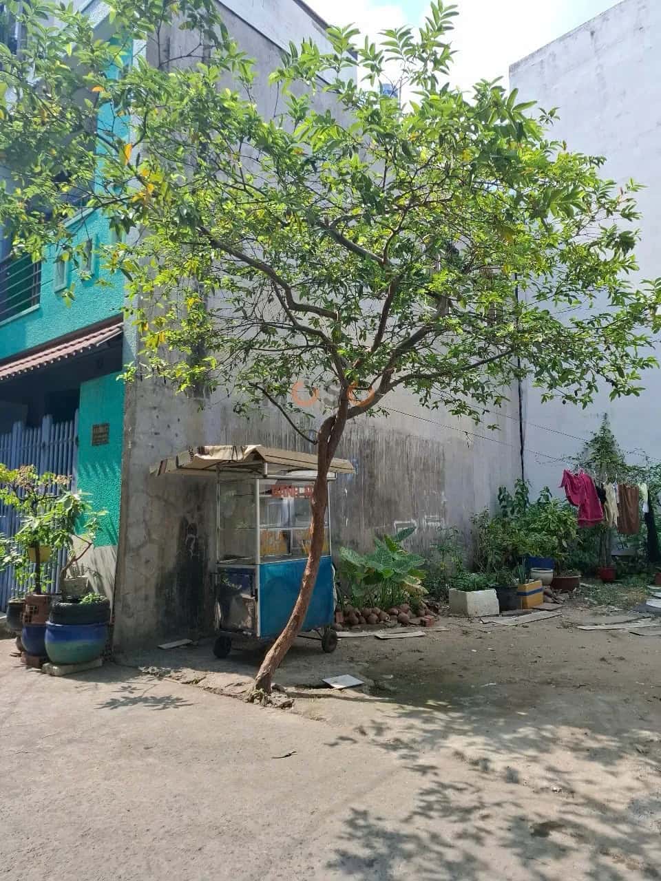 Hình ảnh nhà 2 Hình ảnh nhà 2